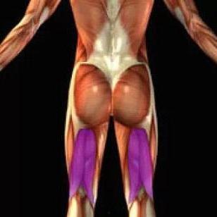 绳与肌电影在线观看,探索人体极限的视觉盛宴  第1张